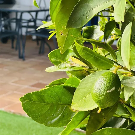 Parque Oasis Costa Esuri Ayamonte